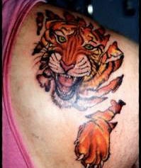 Imagen del tigre en la piel cortada tatuaje en hombro