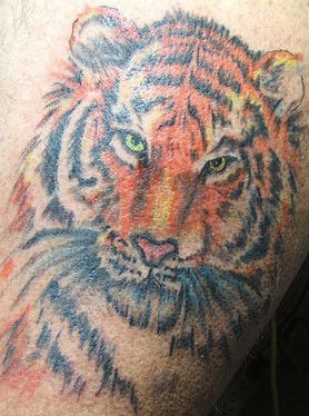 Cabeza del tigre tatuaje en detalle muy realístico