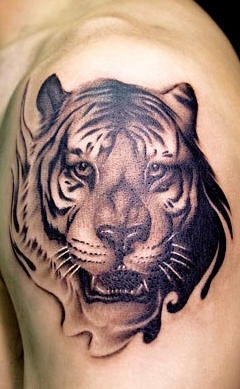 Tatuaje en el hombro cabeza del tigre