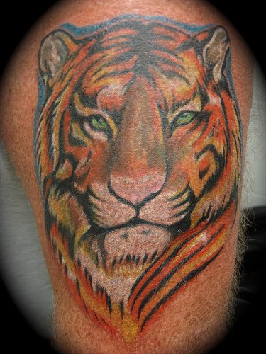 Colourful realistic tiger tattoo