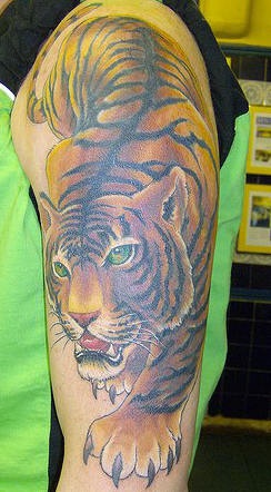 Coloured crawling tiger tattoo