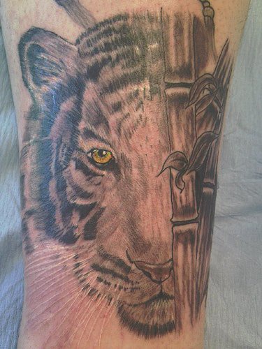 Gran tatuaje de cabeza del tigre en bosque tropical