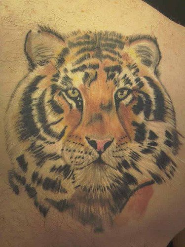 Cabeza del tigre tatuaje en detalle