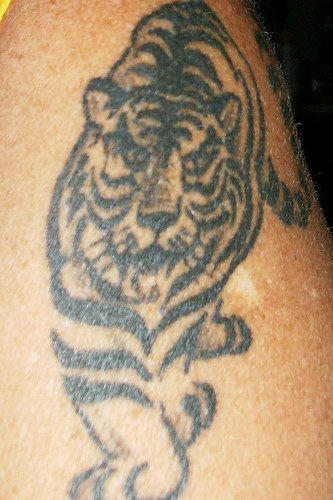 Black ink tiger tattoo