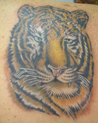 Old tiger head coloured tattoo