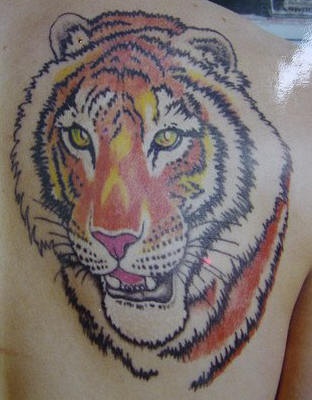 Tiger head coloured tattoo