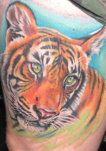 Muy realístico tatuaje del tigre joven en color