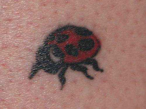 Tiny ladybug tattoo