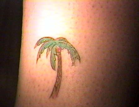 Small tattoo of colored palm tree