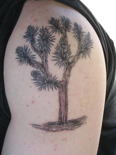 Shoulder tree tattoo with pine tree