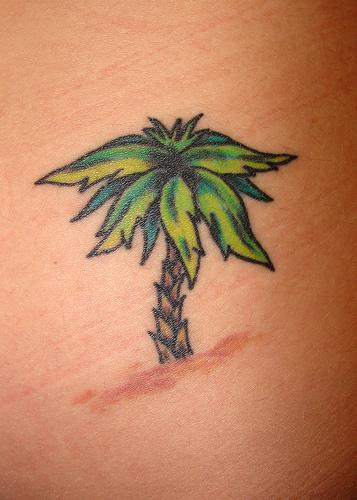 Tatuaggio piccolo la palma verde