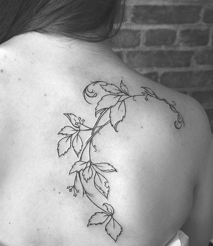 Tree scapula tattoo with vine of leaves