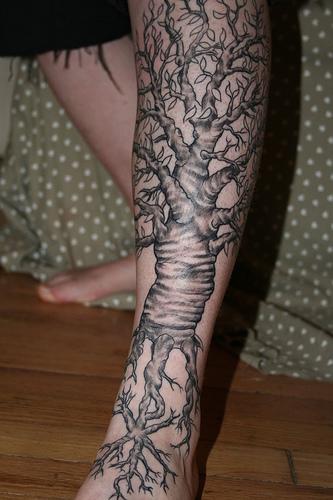 Tatuaggio pittoresco sulla gamba l&quotalbero nero con la radice e le foglie