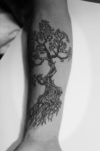 el tatuaje lineado y detallado de un arbol en el brazo
