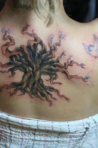 Tatuaggio impressionante sulla schiena l&quotalbero con la radice