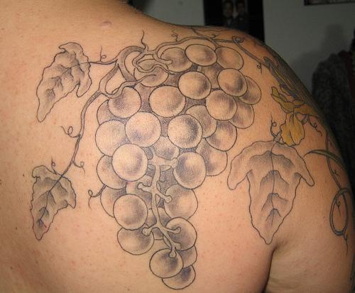 el tatuaje de una rama con uvas heccho en tinta gris en la espalda