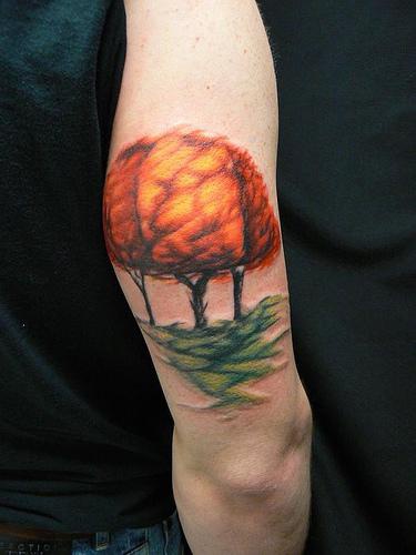 Tatuaggio colorato sul braccio gli alberi