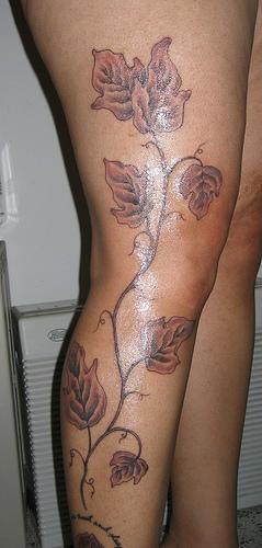 el tatuaje de una rama de arbol con hojas hecho en la pierna