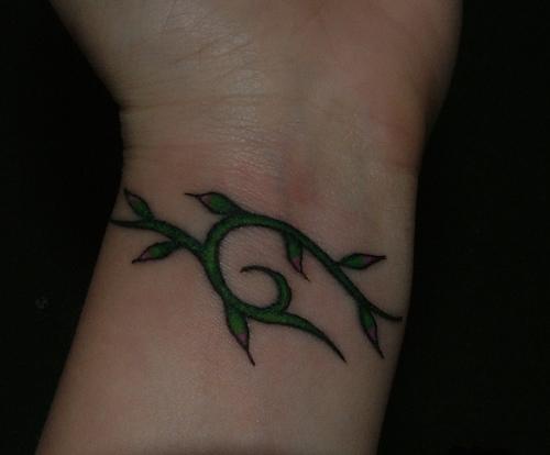Tatuaggio la pianta verde intorno del polso
