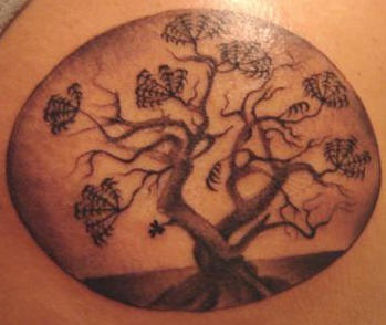 Tree and vine tattoo in the circle