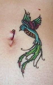 maggico uccello con piercing tatuaggio