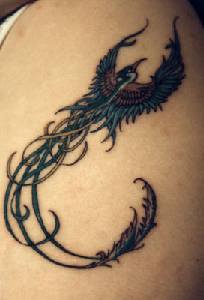 meraviglioso uccello blu coda lunga tatuaggio