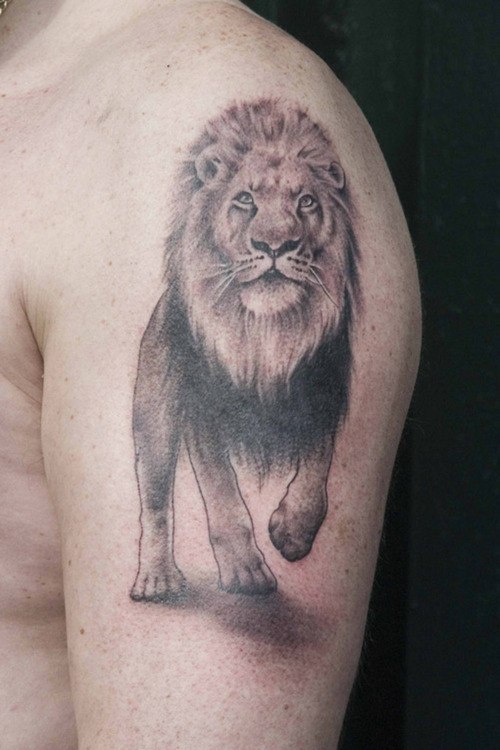 Realistic lion tattoo on shoulder