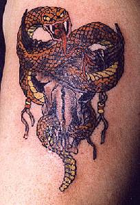 Tatuaje en tinta oscura la serpiente agresiva en la calavera del toro