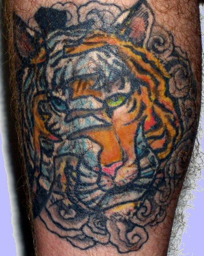 Interesante tatuaje con tigre y jeroglíficos