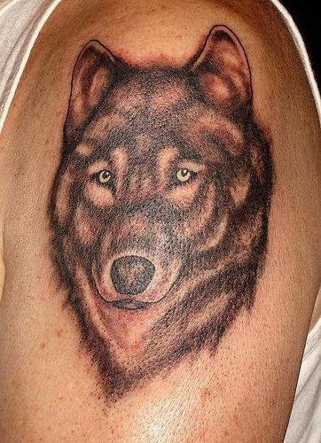 Tatuaggio colorato sul deltoide la testa del lupo