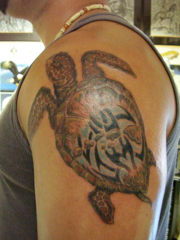 Big brown turtle tattoo on the shoulder
