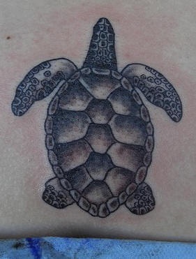 Schwarze Tinte kleine Schildkröte Tattoo