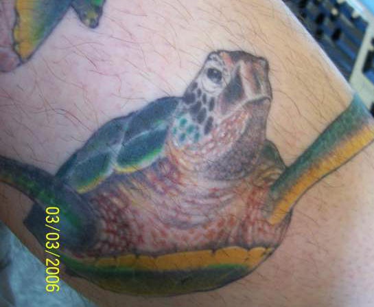 Realistic swimming turtle on the tattoo