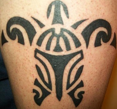 Small turtle tattoo in tribal style