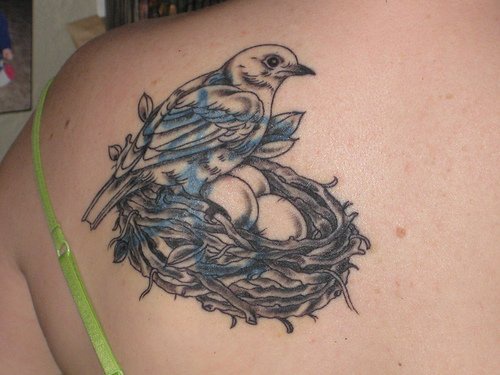 Tatuaje del pajarito sentado en el nido con huevos - Tattooimages.biz