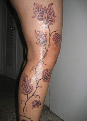 Bonito tatuaje las hojas de la vid en color en la pierna