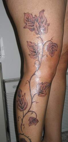 Gran tatuaje en la pierna las hojas de la cepa en color