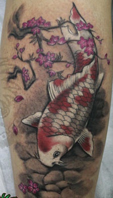 Tatuaje de carpa koi bajo de una sakura