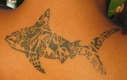 Elegante tatuaje con los animales del mar el tiburón en la espalda