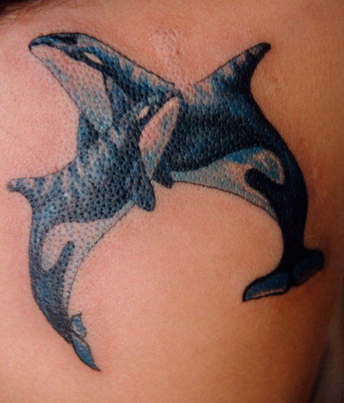 Water animal tattoo with two killer whales