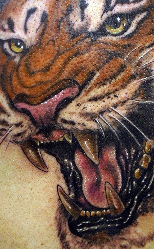 Muy realístico tatuaje del tigre en color
