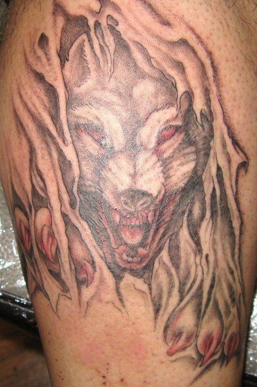 Angry wolf tearing skin tattoo