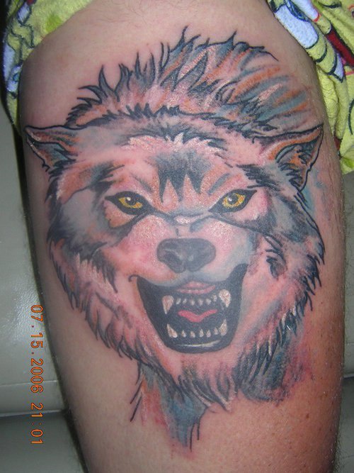 Verärgerter farbiger Wolf Tattoo an der Schulter