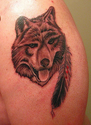 Funny wolf tattoo with feather