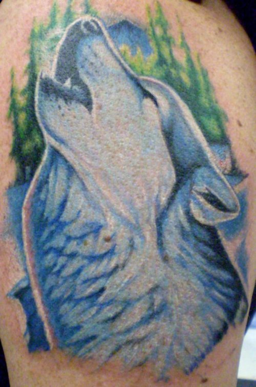 Un beau loup bleu en hurlant dans le tatouage de forêt