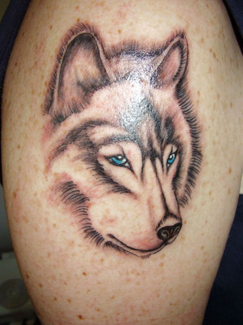 Serious wolf with blue eyes tattoo