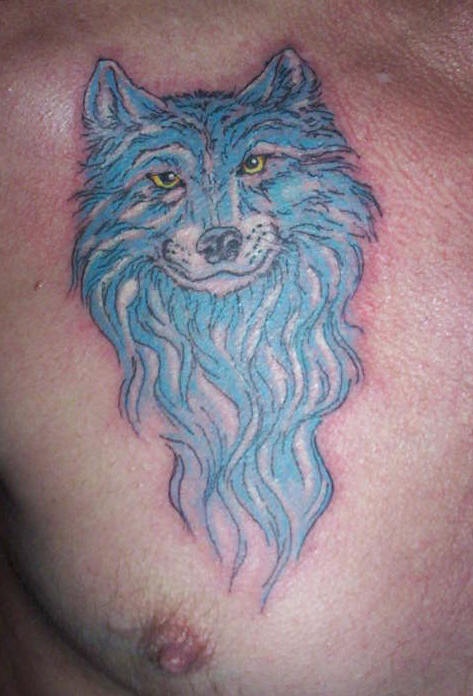 Loup bleu le tatouage sur la poitrine