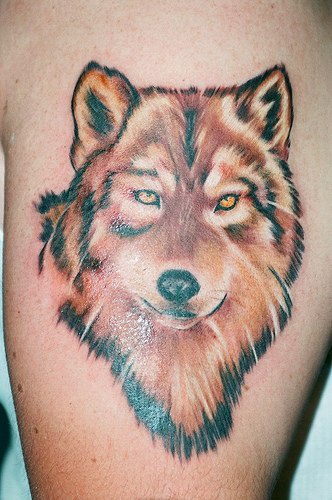 Tattoo with serious red wolf