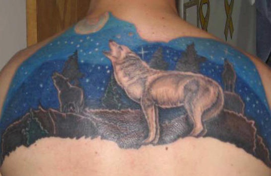 Big back tattoo with wolf and night sky