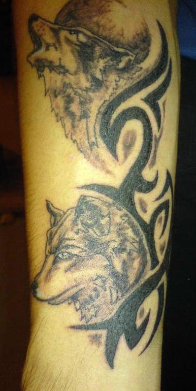 Tattoo with two wolves and a tribal sign